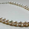 Sterling Silver Freshwater Pearl Necklace      £40
